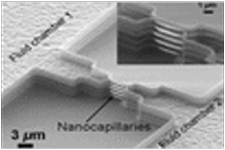 ナノ・キャピラリー構造